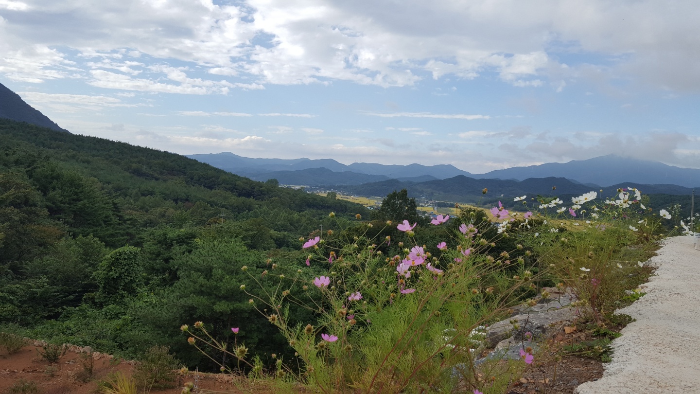 새참예수교회