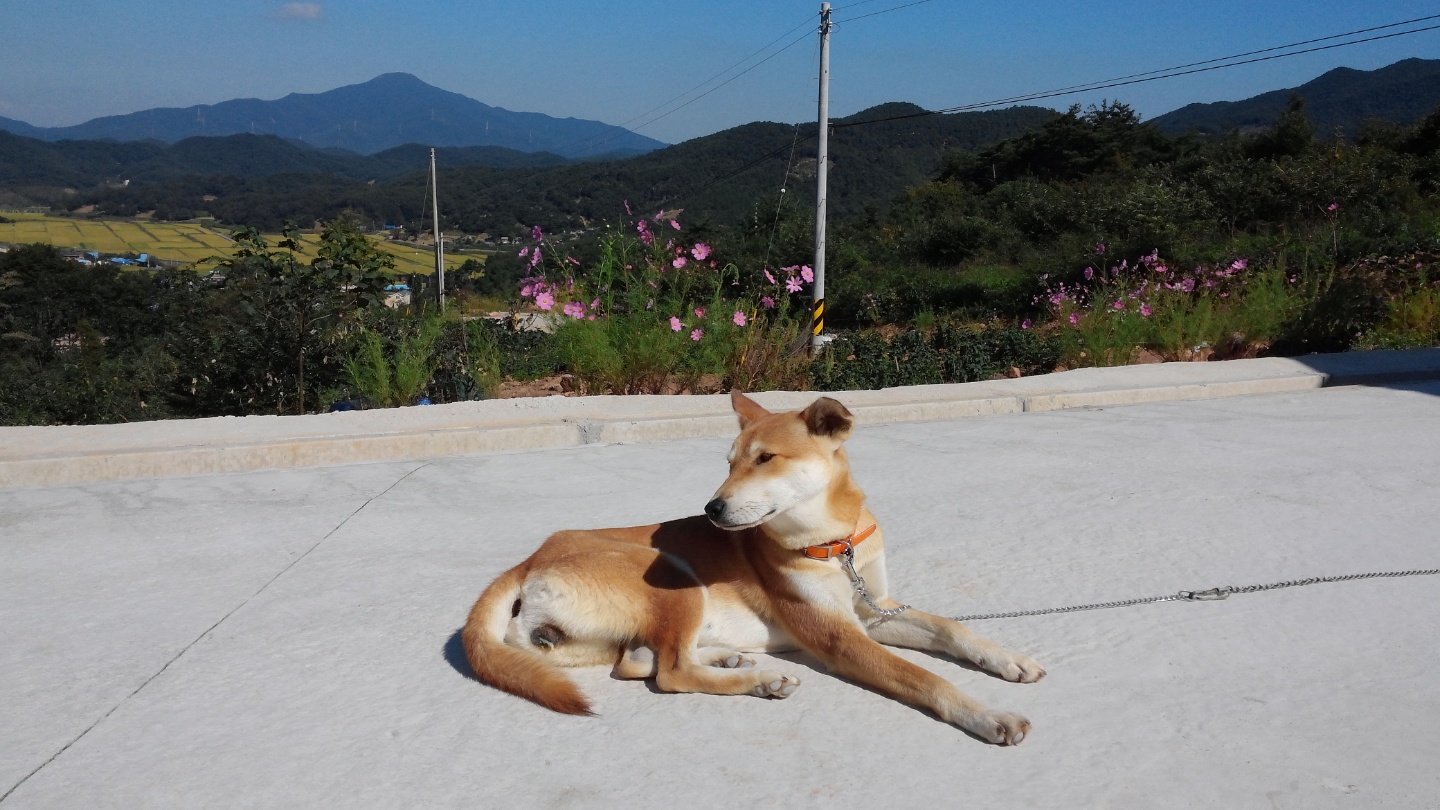 새참예수교회